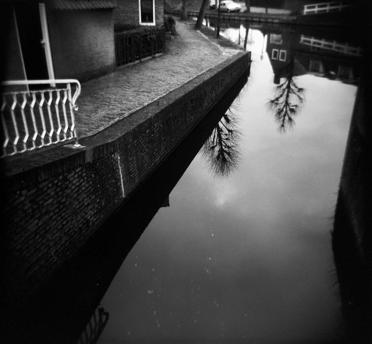 Jacqueline Walters | Project Statements