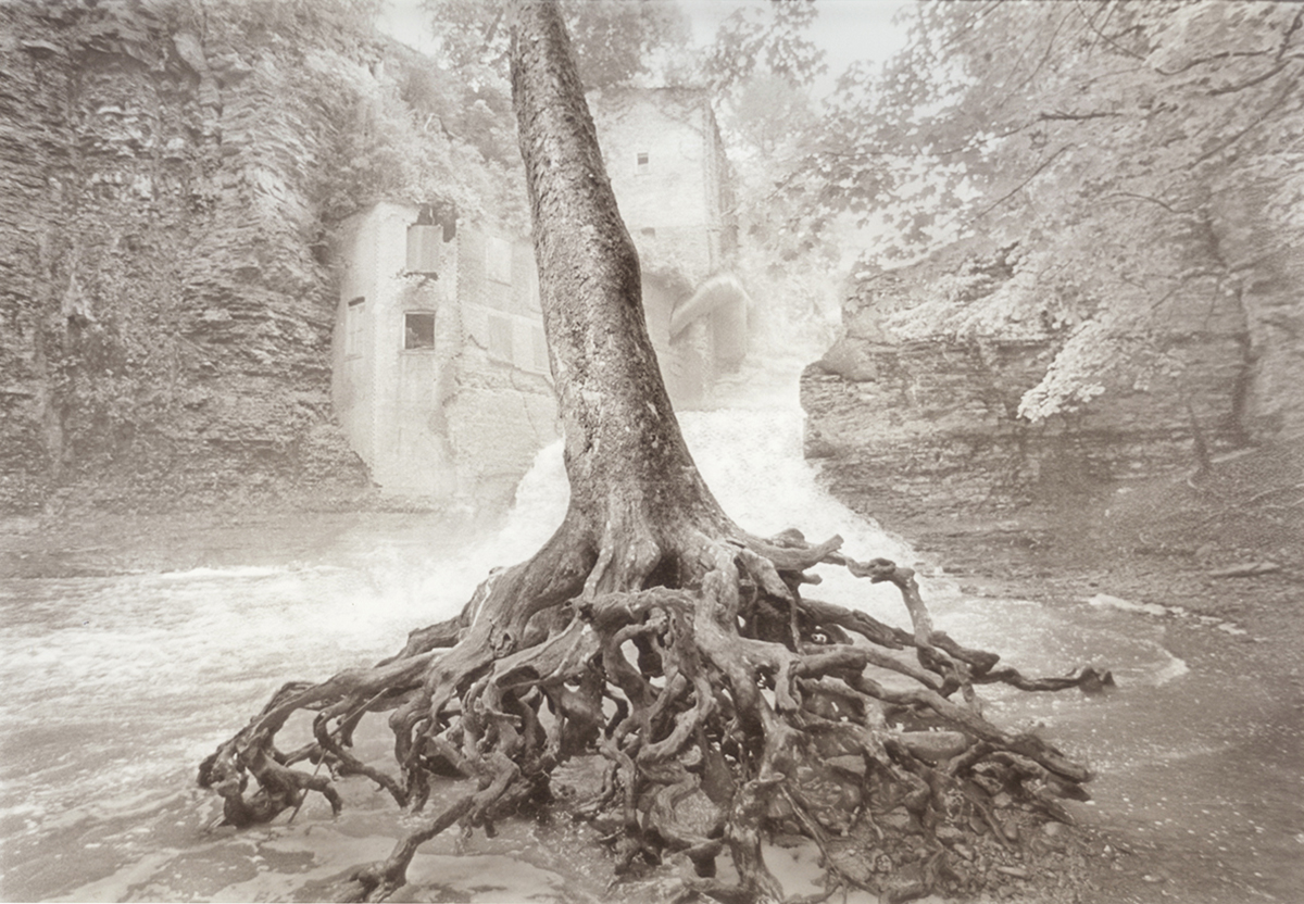 Mark Larsen, Exposed Roots