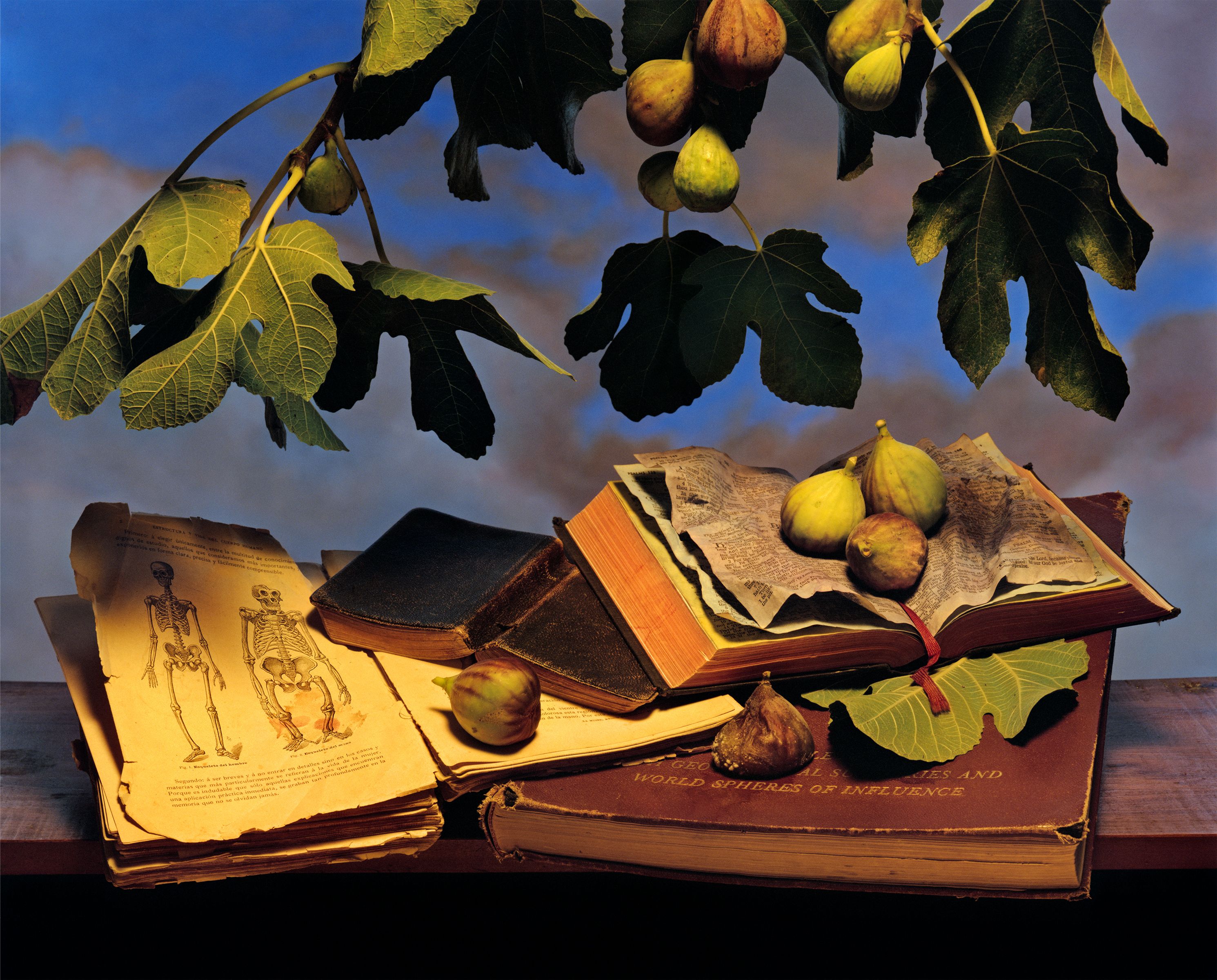 JO WHALEY, Spheres of Influence