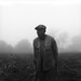 Homer (foggy morning)