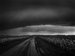 Stormy Sky Over Cotton Fields