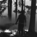 Burning Pine Needles