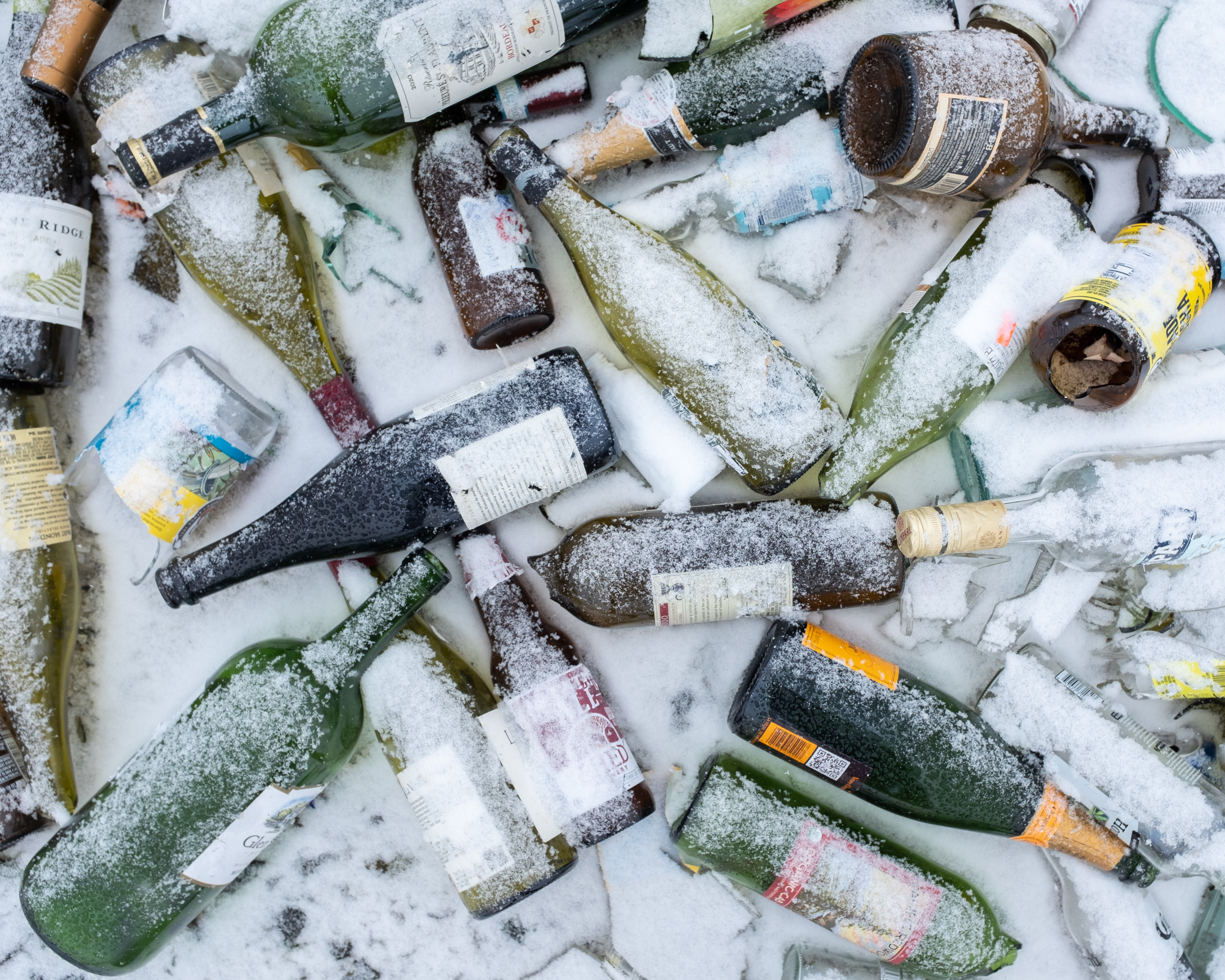 Lyn Miller, Wine Bottles, Snowy Day & Zine