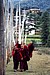 Procession of Monks Phobjikha Valley, Bhutan