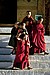 Young Monks at Play Punakha Dzong, Bhutan