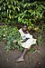 Scovia's Garden Patch Kaloungi Village, Uganda