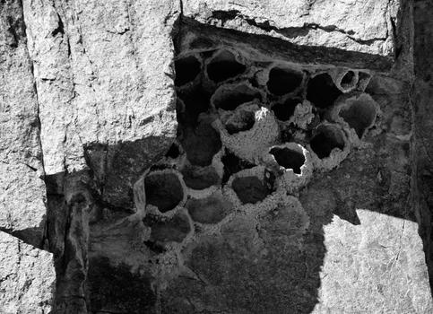 Swallows' Nests, Del Chorro Creek