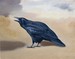 Raven (The Warning Call)