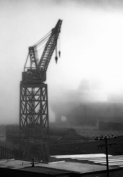 Crane in Fog