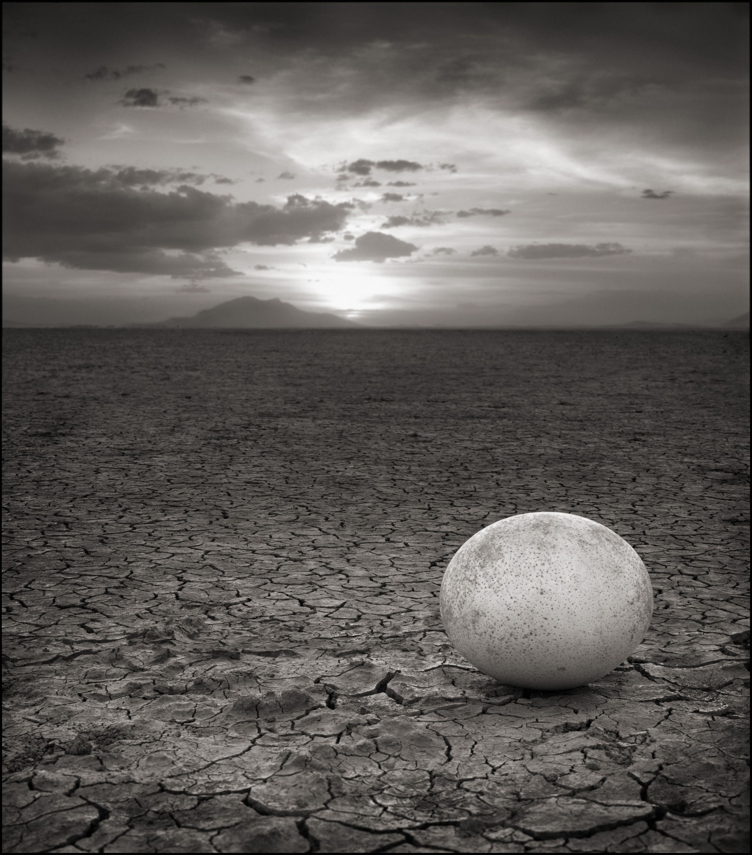 Nick Brandt | A SHADOW FALLS (2005-2008)