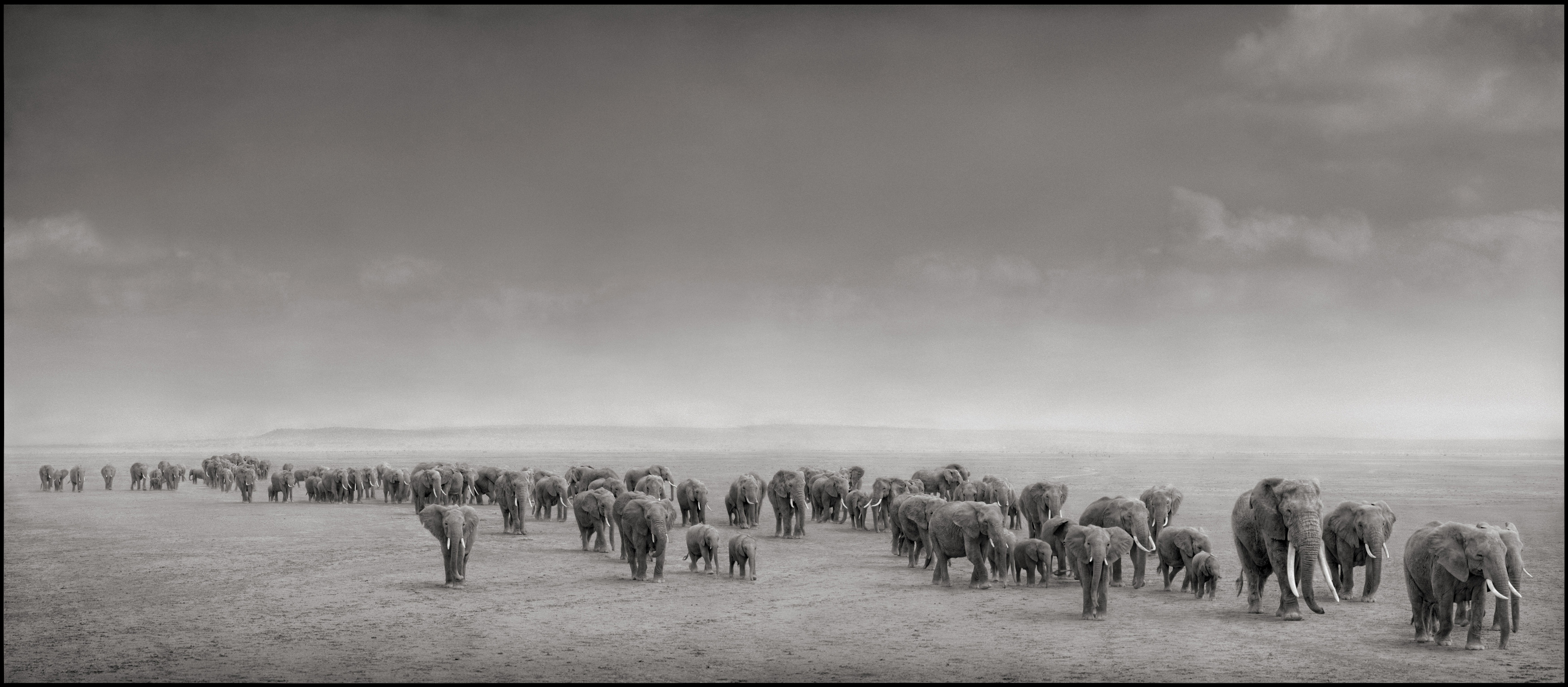 ON THIS EARTH  Nick Brand 写真集 On This Earth: Photographs from East Africa by Nick Brandt