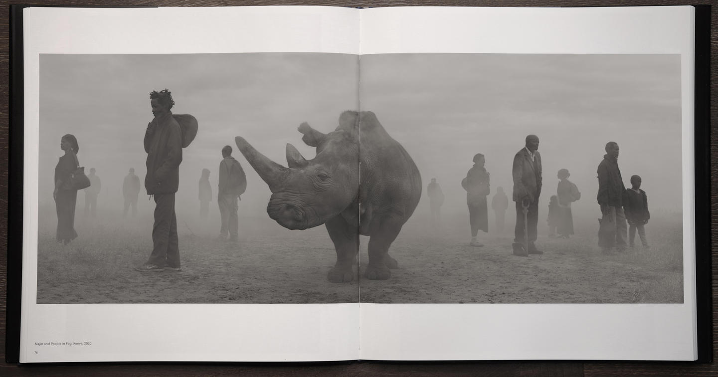 Nick Brandt Bookstore nick-brandt-bookstore