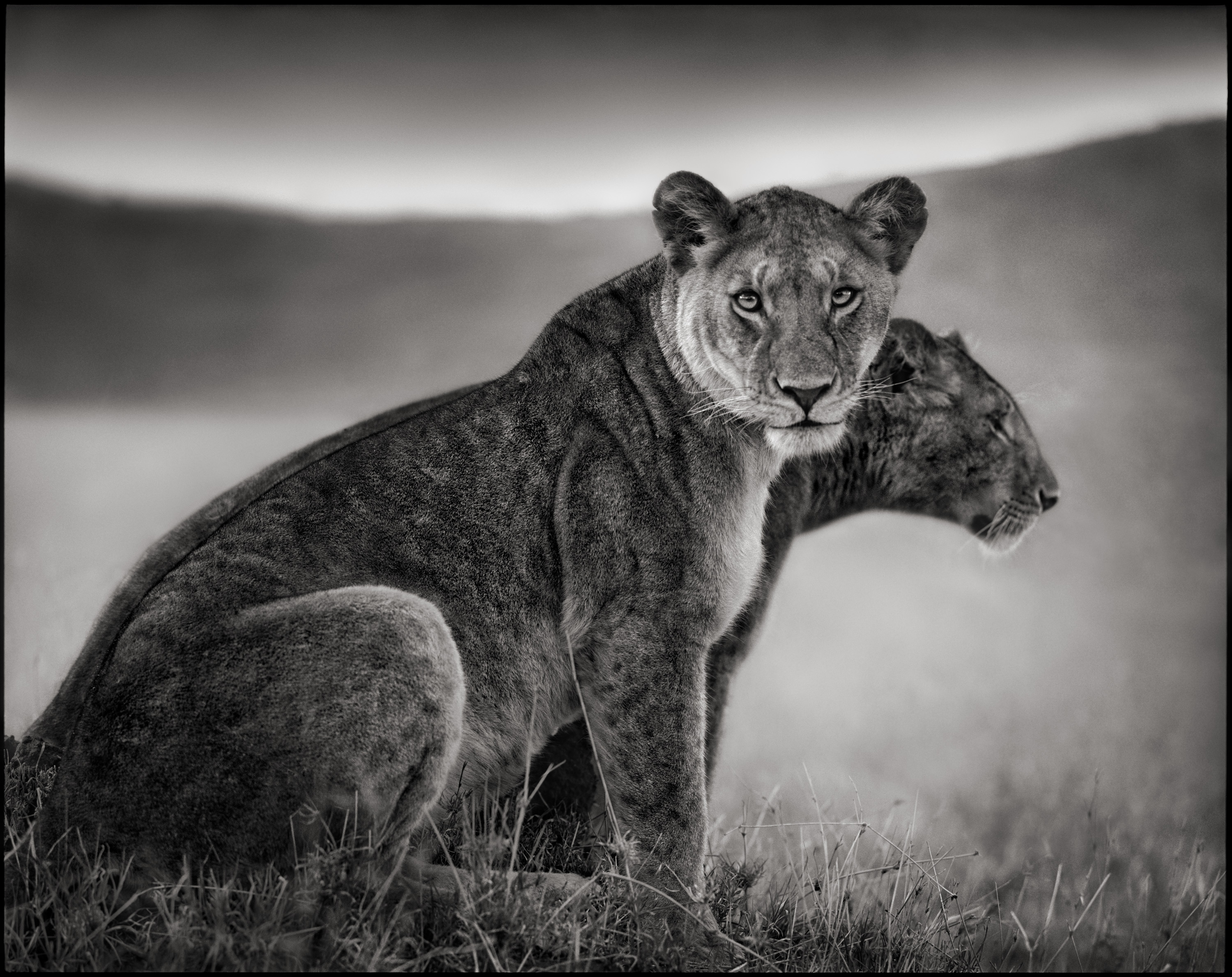 ON THIS EARTH  Nick Brand 写真集 On This Earth: Photographs from East Africa by Nick Brandt
