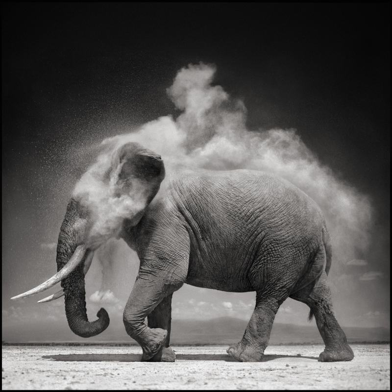 Nick Brandt