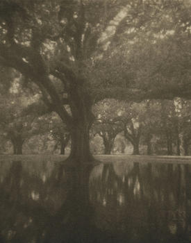 Southern Reflections