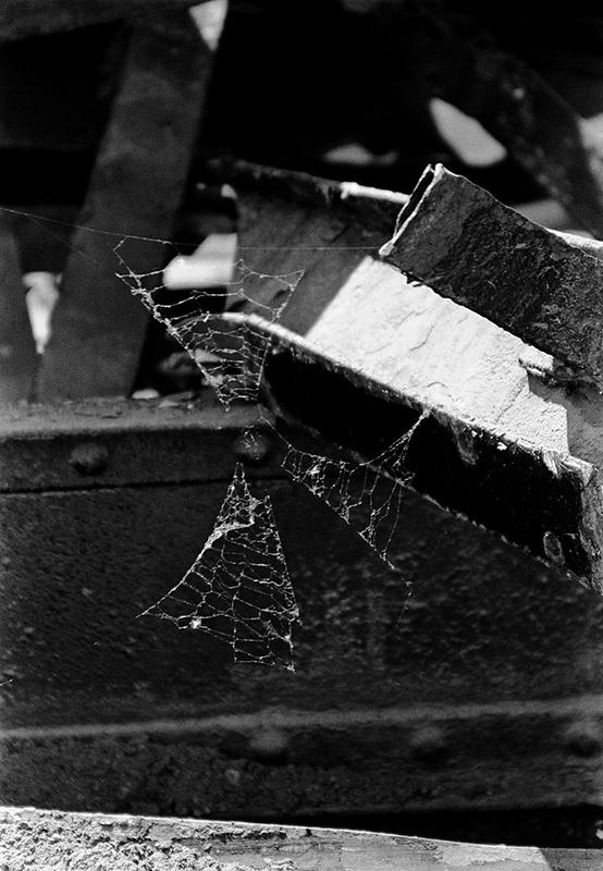 Paulette Myers-Rich / Traffic Street Press | Home