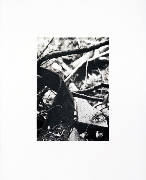 Paulette Myers-Rich / Traffic Street Press | RIVER REVEAL