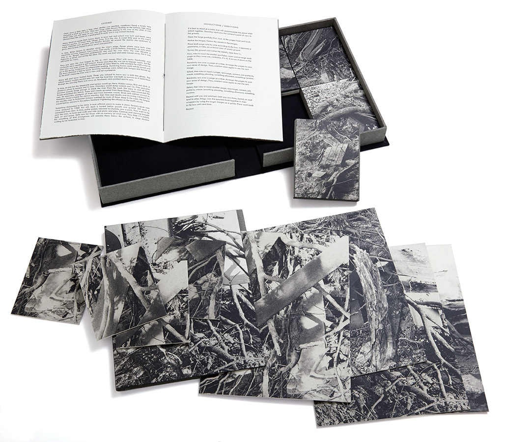 Paulette Myers Rich / Traffic Street Press Broder Introduction