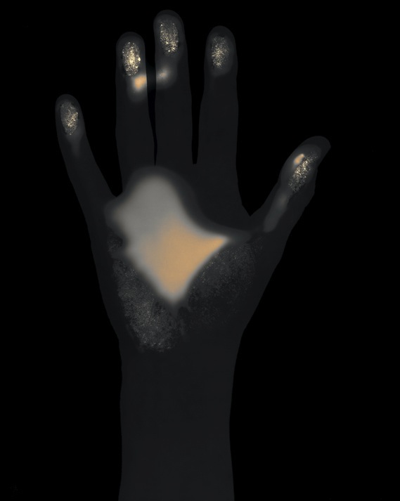 Gary Schneider Biography