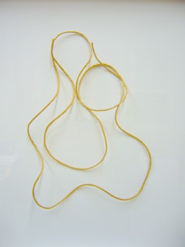 String   2007