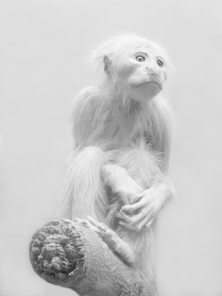 Home [alisoncarey.com]