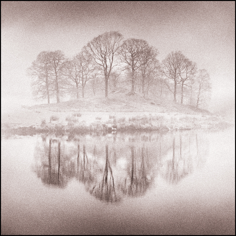 Gary Groucutt, Winter Trees