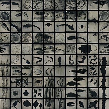 As if the Sea Nymphs Quired