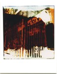 Polaroid Separations