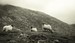 Kylemore, Connemara, Co. Galway