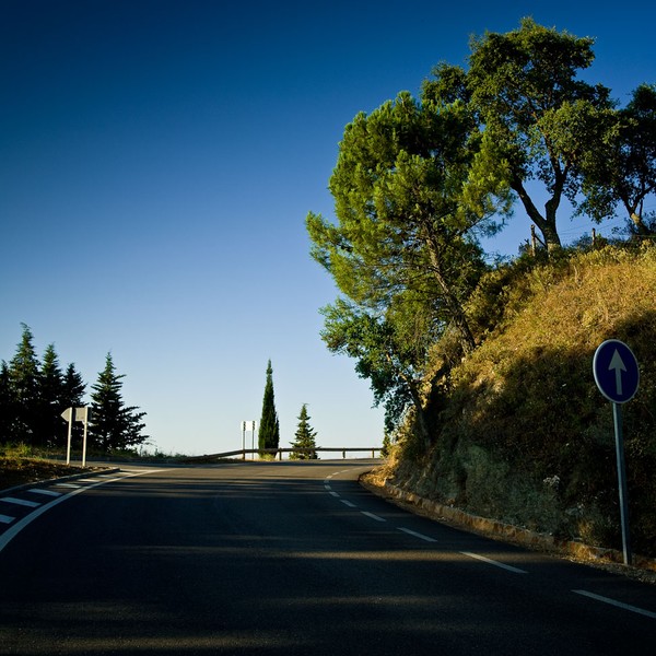 Road near Benarrabia, Andalucia