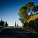 Road near Benarrabia, Andalucia