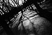 Paris, Park Shadows