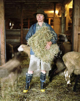 Barb feeding the sheep