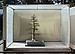 Trident Maple, 138