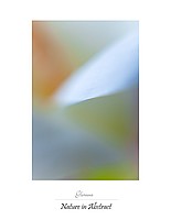 Calla Abstracts