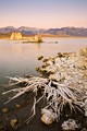 Mono Lake, Eastern Sierra