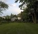 Dusk, late summer, my backyard, Auburndale, MA