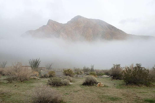 Early morning fog, Anza Borrego Desert State Park