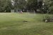 Soccer net and backyards, late summer, Auburndale