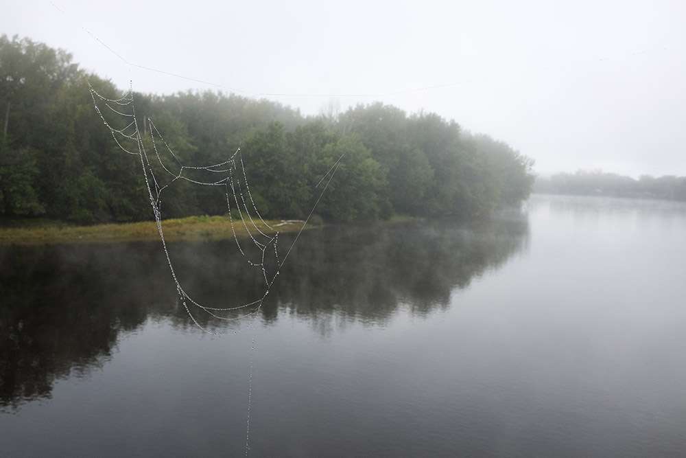 Mary Lang, Spider web, Rail Trail, Northampton, MA