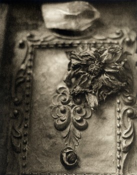 Little Box and Snail