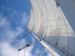 Sailing Away