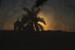 Cuba, Sunset