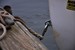 Maine, Boat and Rope