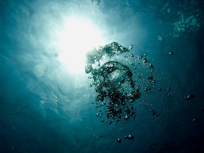 Caribbean, Underwater