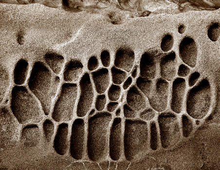 Malaspina Sandstone, BC, Canada