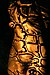 Golden Torso