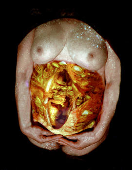 Squash Gut