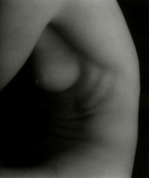 Lines and Light: Nudes