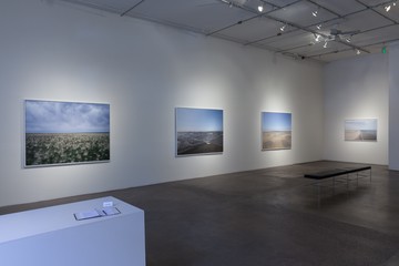 Memories of Water, Robischon Gallery 2014